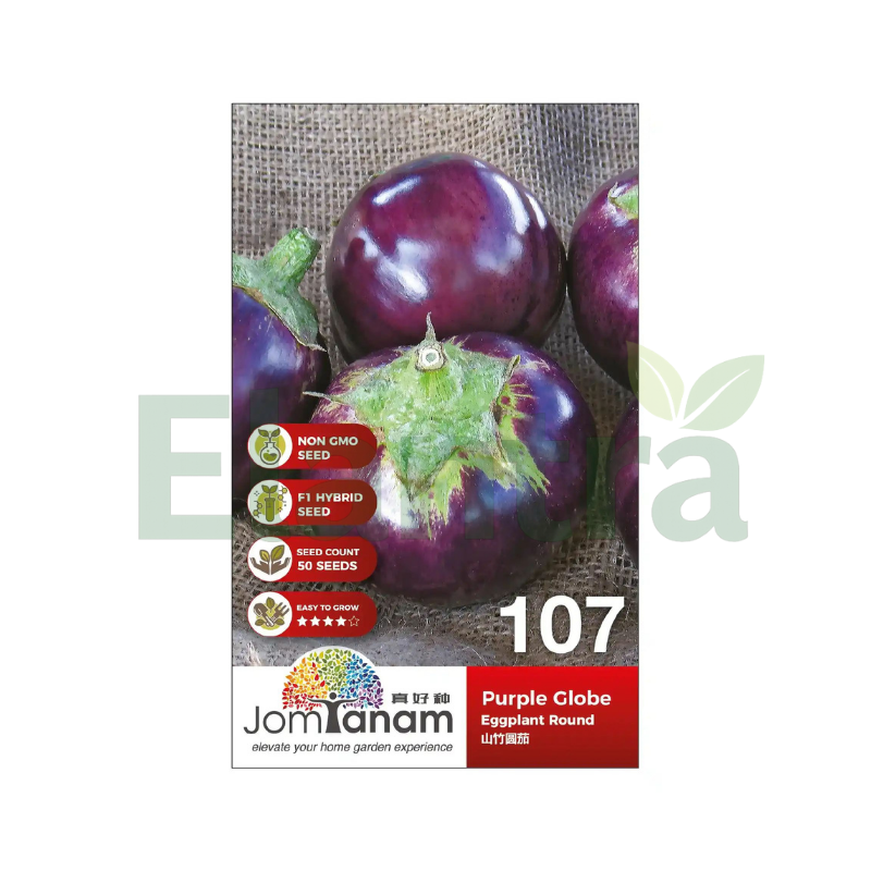 107 EGGPLANT ROUND